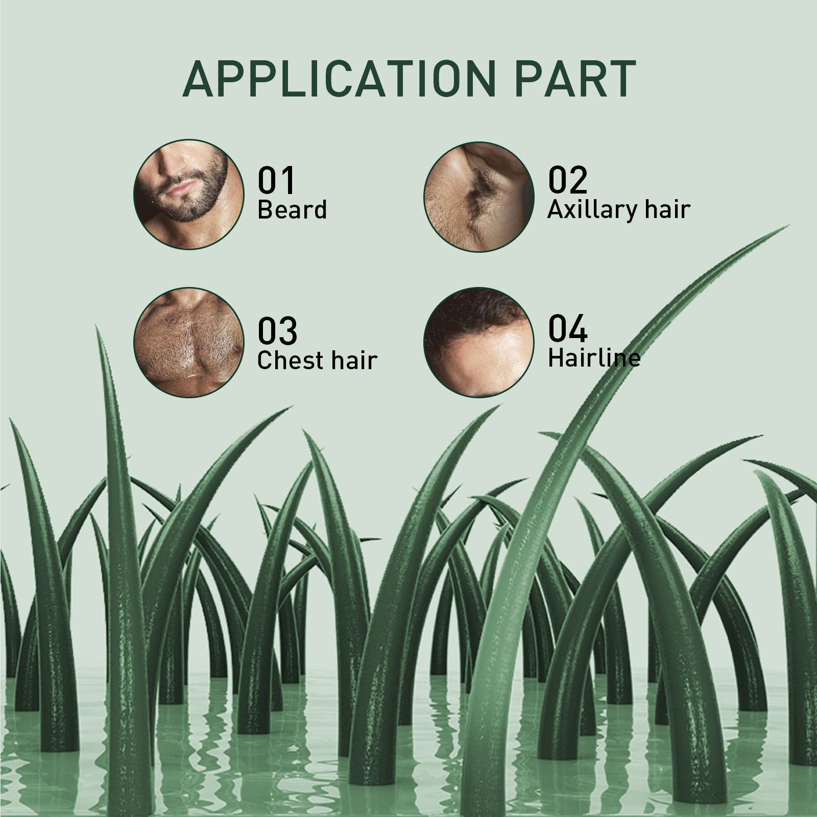 7 Days Essence Gently Moisturizes Hydrating Hairline Scalp Root Nourishing Hair Care Essential Oil