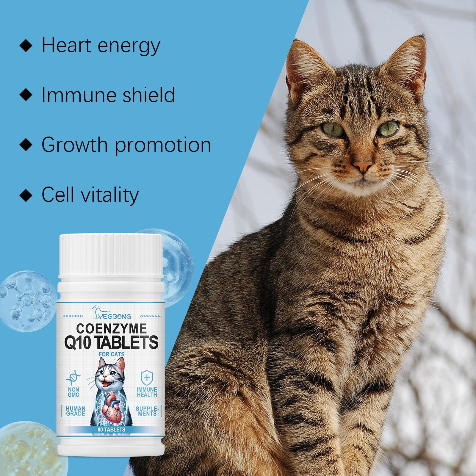 Cats Protect Health And Vitality With Coenzyme Tablets Coenzyme Q10 For Cats To Absorb Nutritional Supplements