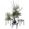 Set of 4 - Indoor Outdoor Black Metal Plant Stand