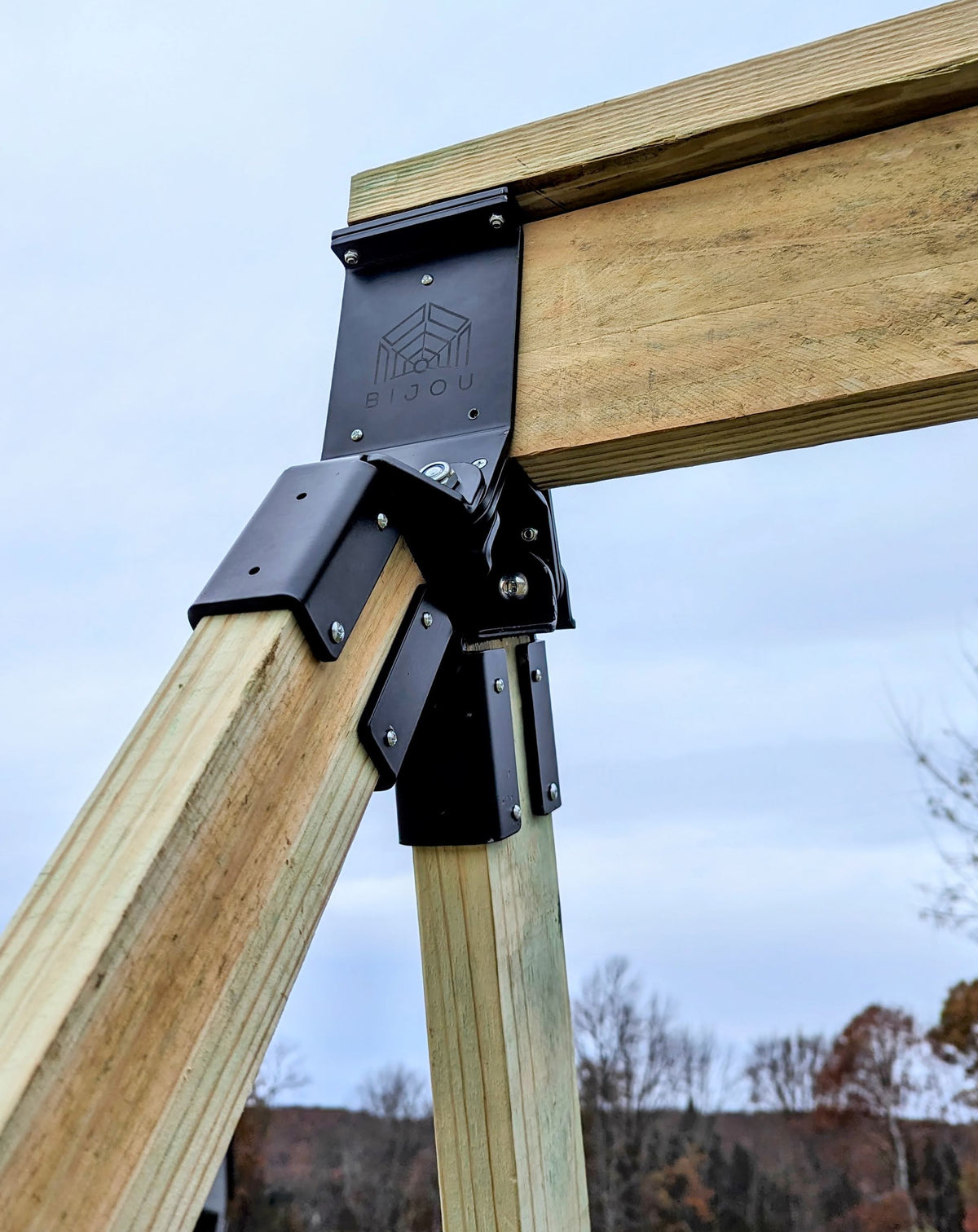 Swing Arm