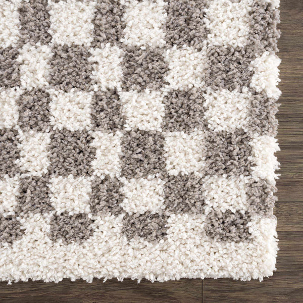Kieu Taupe Checkered Plush Rug