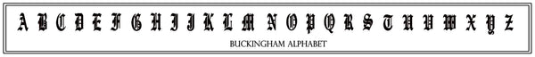 Buckingham Decorative Pillow * CUSTOMIZABLE *