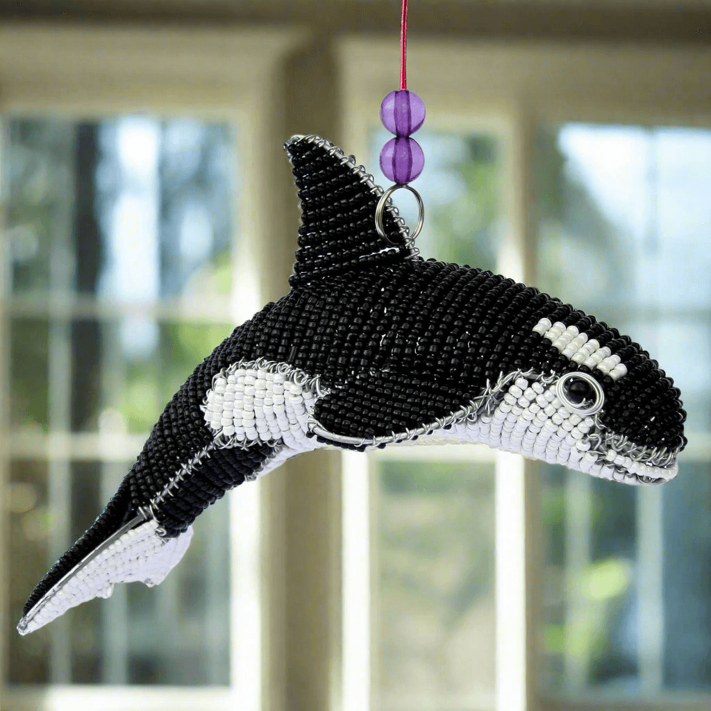 Baby Orca Whale
