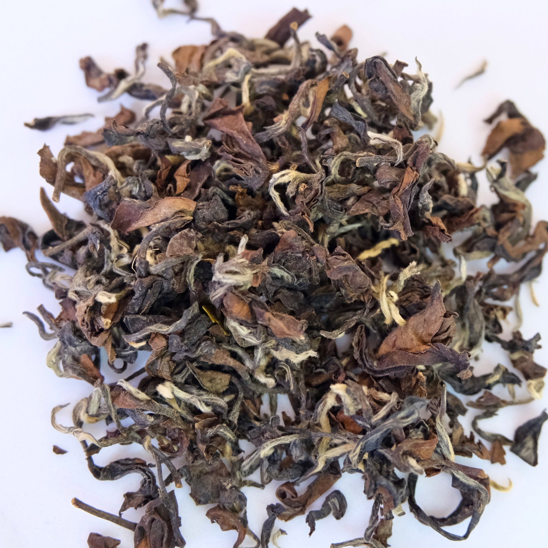 PREMIUM TEA COLLECTION - SAMPLER KIT