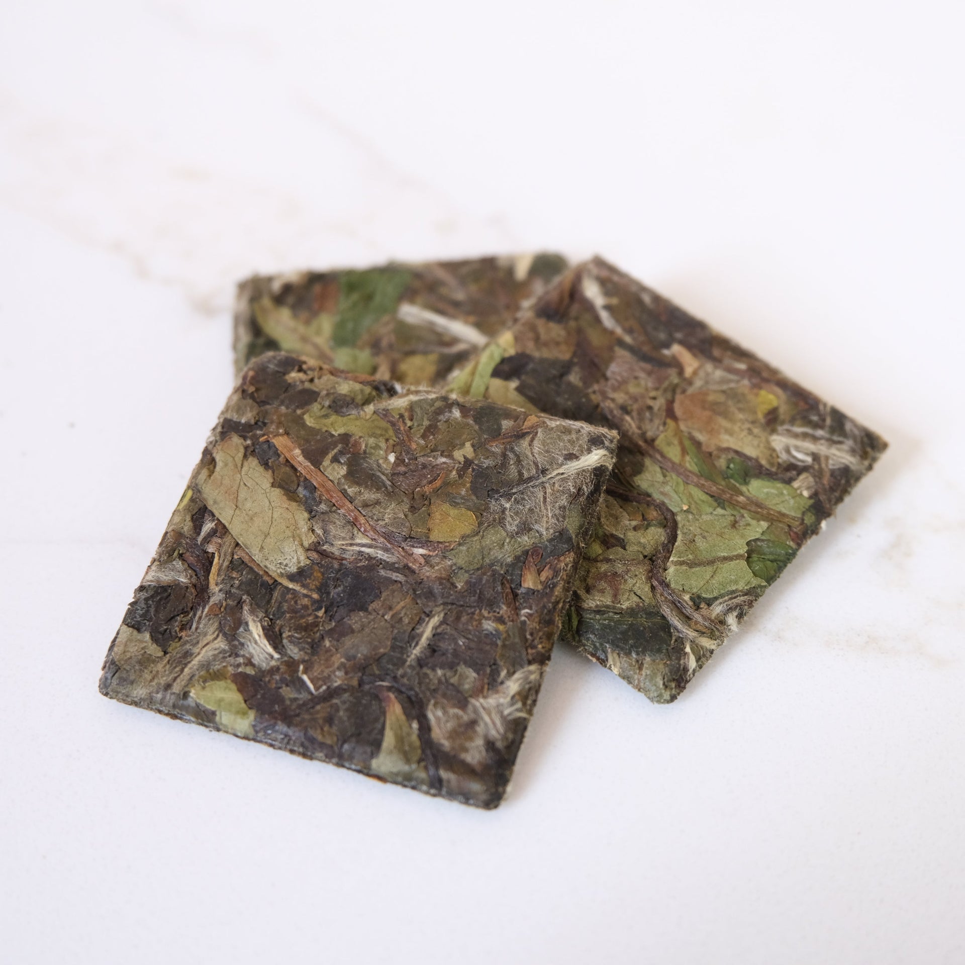 PREMIUM TEA COLLECTION - SAMPLER KIT