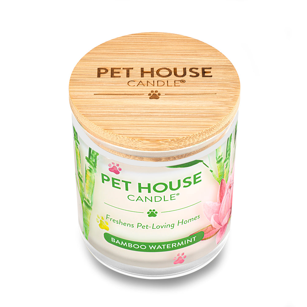 Bamboo Watermint Candle