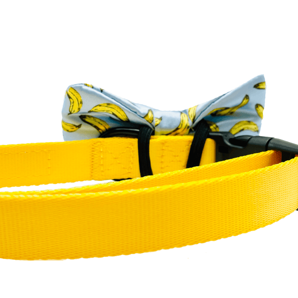 Banana Light Blue Dog Bow Tie