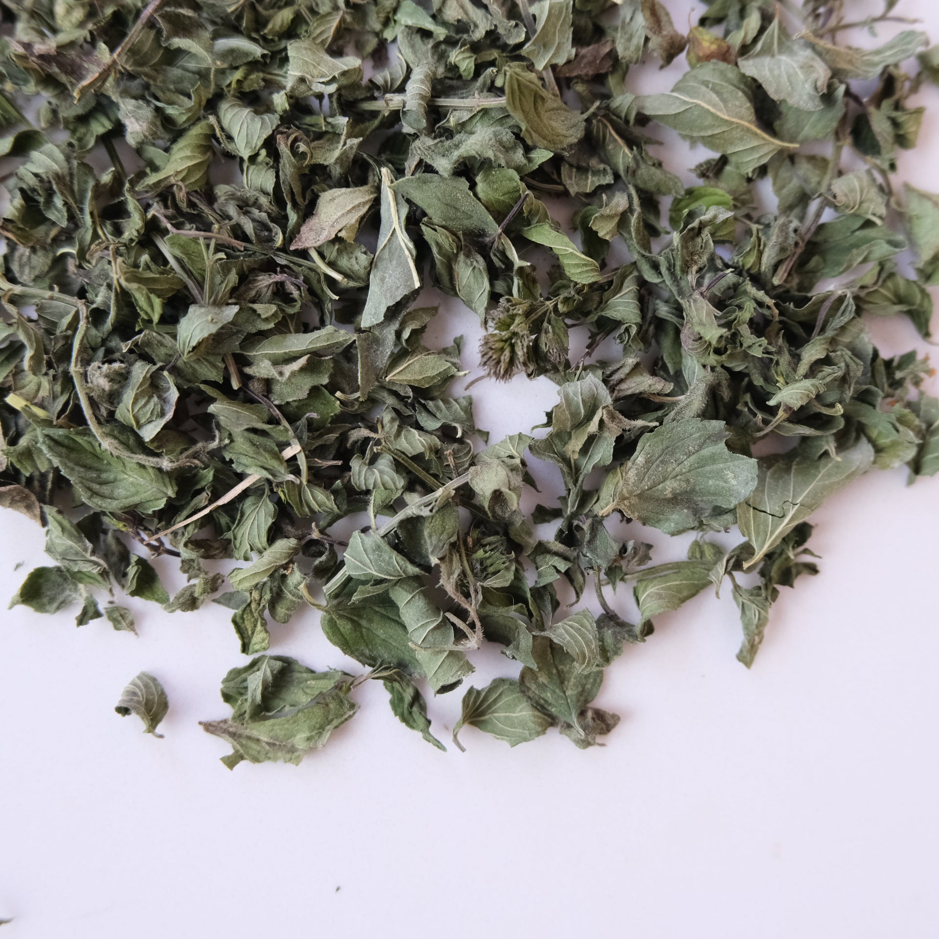 BANANA MINT + CHOCOLATE MINT