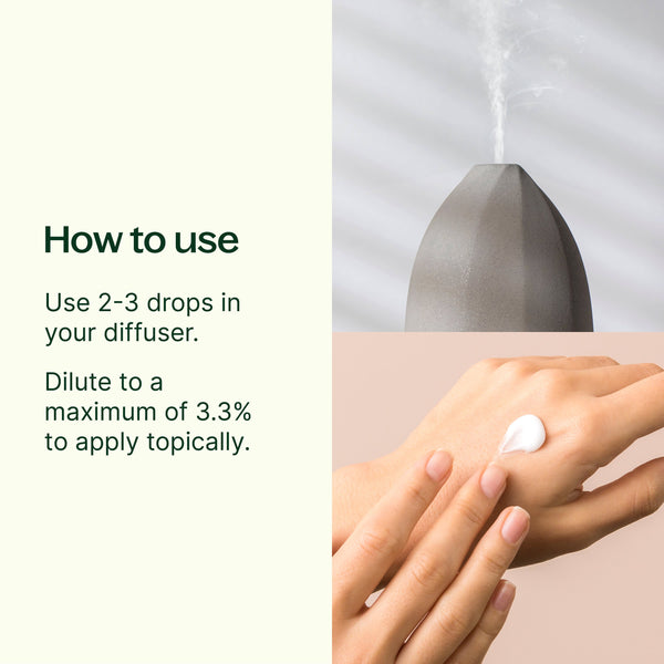 Basil Linalool Essential Oil