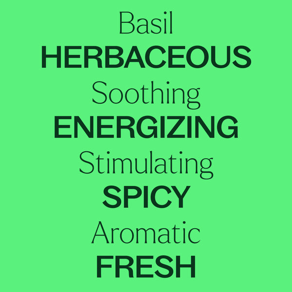 Basil Linalool Essential Oil