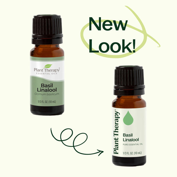 Basil Linalool Essential Oil