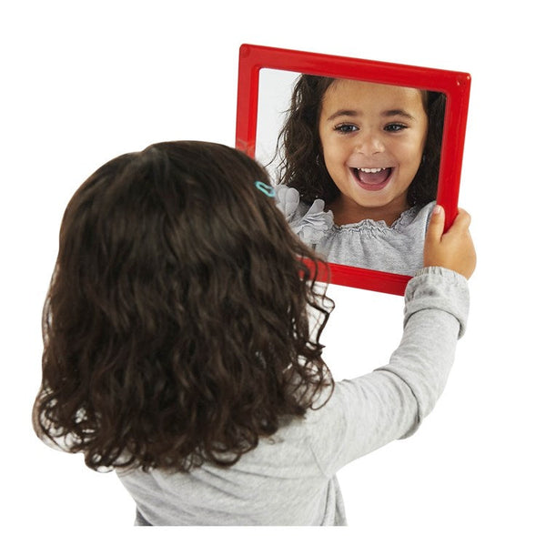 5-Pack of Plastic Mirror Inserts!