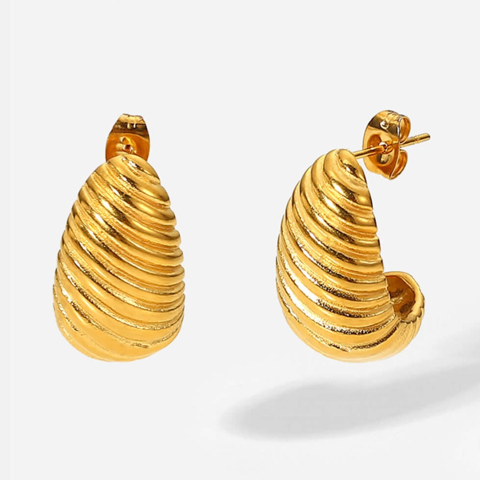 Shell Shore Spiral Stud Earrings