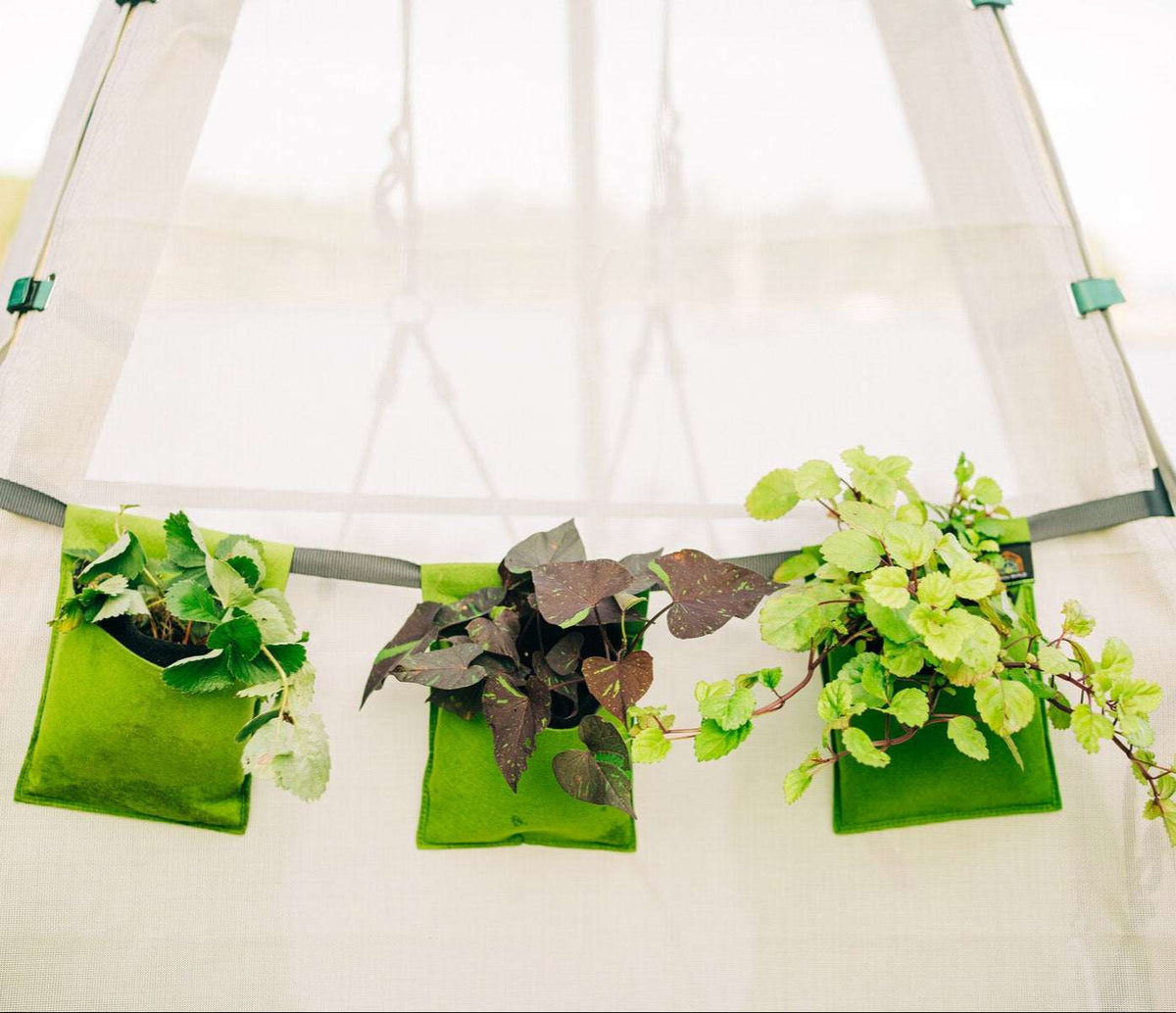 Bloom Hanging Planters