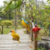 Bird Statues - Decorative Metal Set