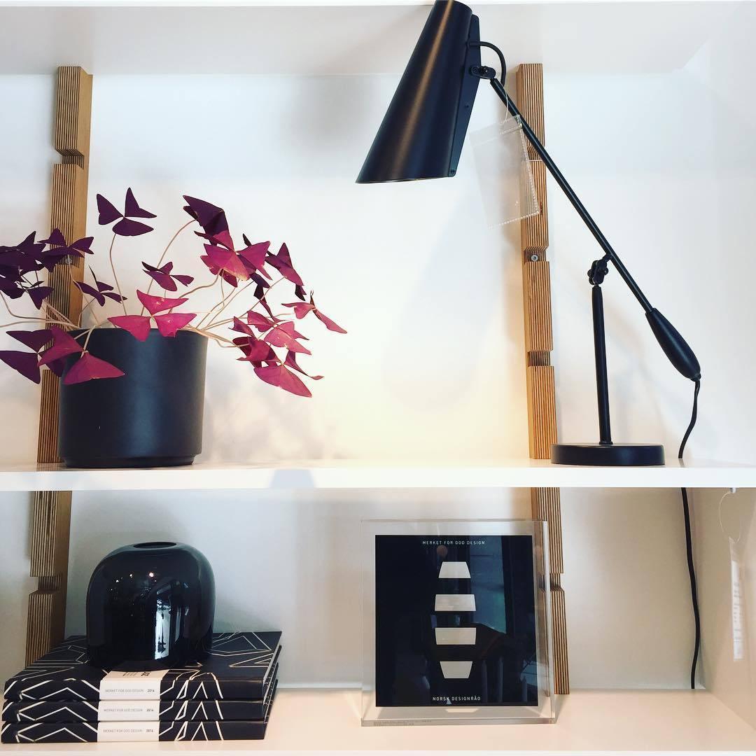 Birdy Table Lamp 23.6