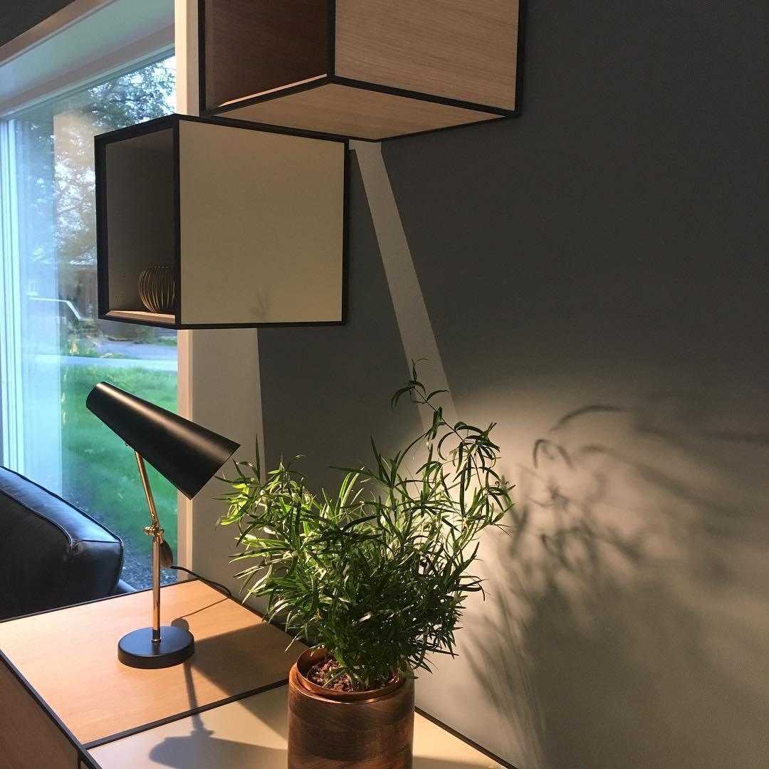 Birdy Table Lamp 23.6