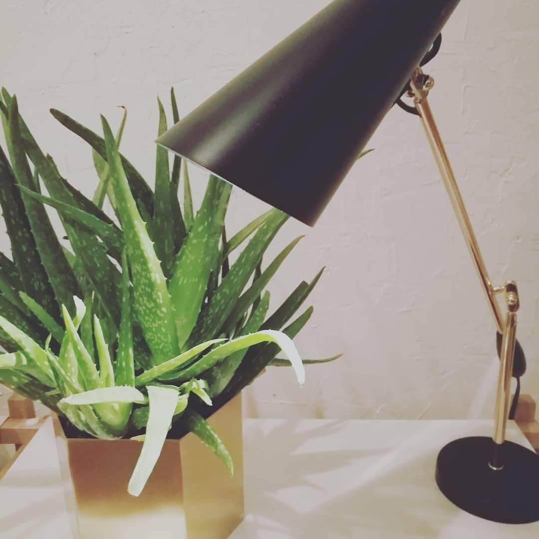 Birdy Table Lamp 23.6