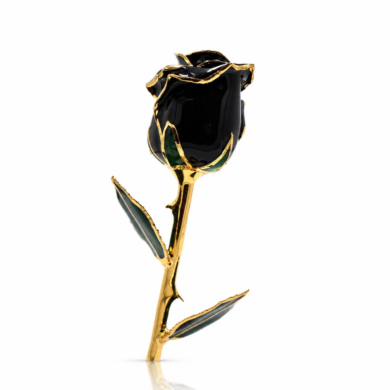 Umber Signature Selection Box - 24K Gold Rose (Choose Your Color)