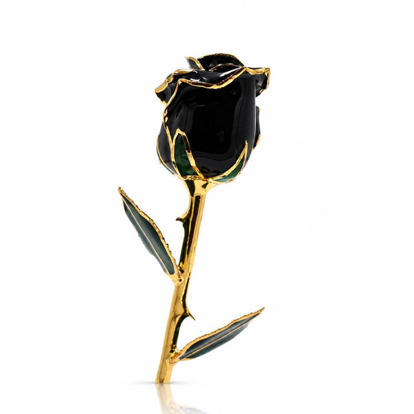 Umber Signature Selection Box - 24K Gold Rose (Choose Your Color)