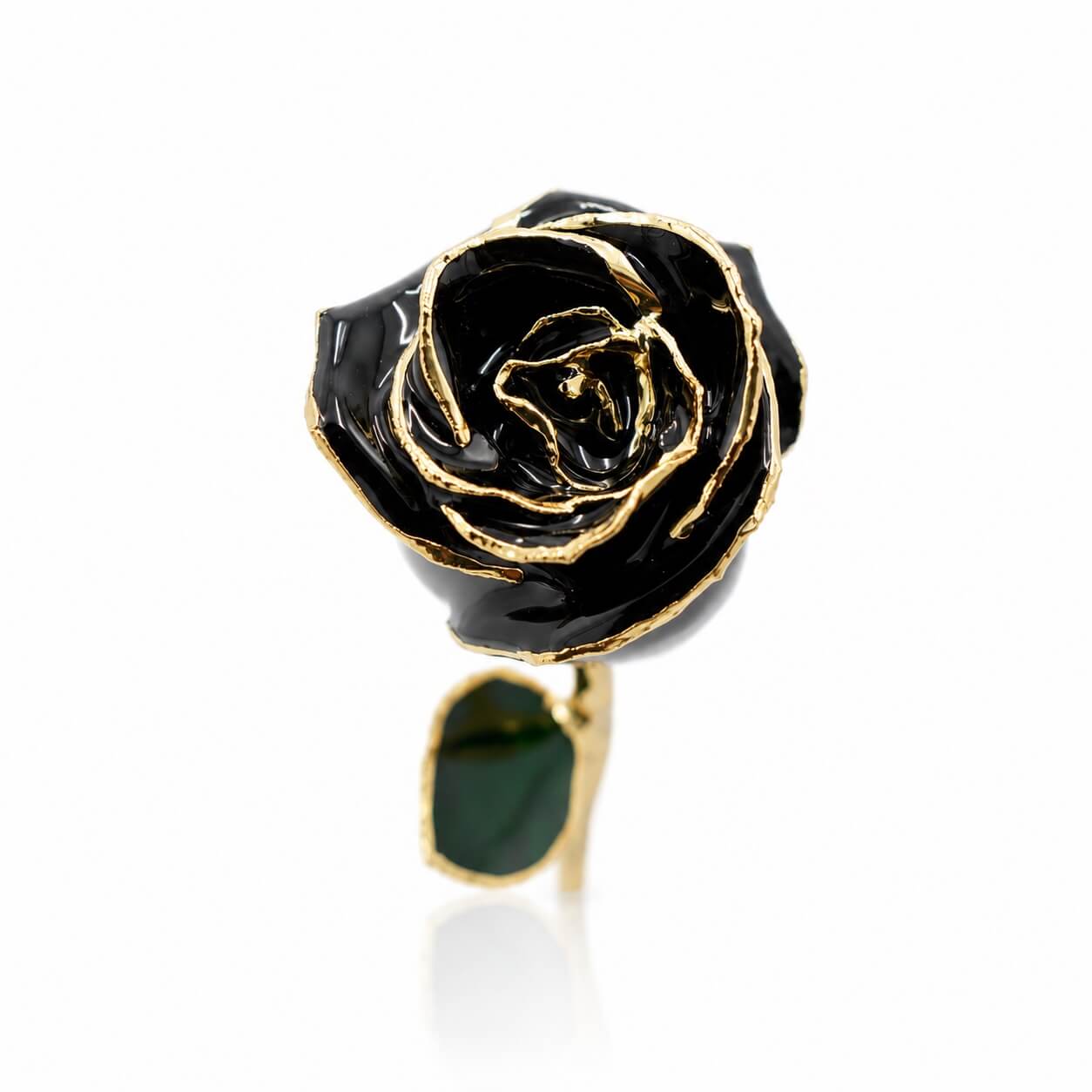 Umber Signature Selection Box - 24K Gold Rose (Choose Your Color)