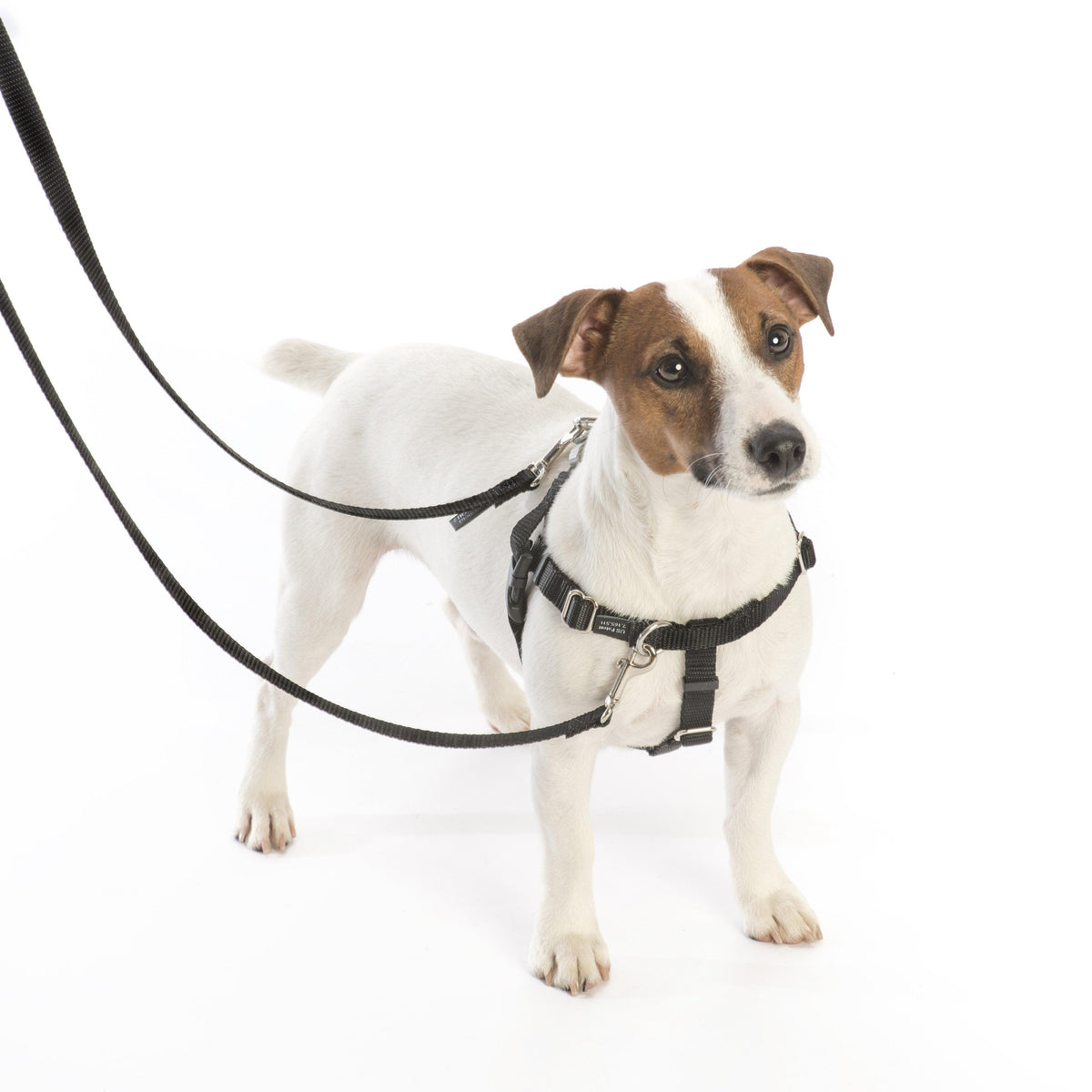 Burgundy Freedom No-Pull Dog Harness