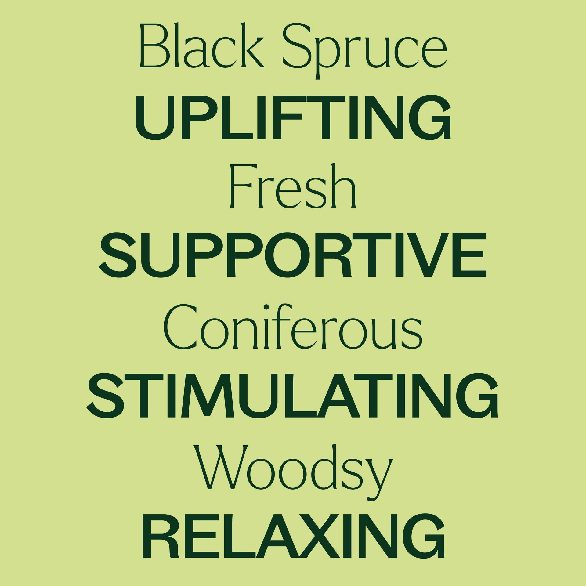Black Spruce Essential Oil