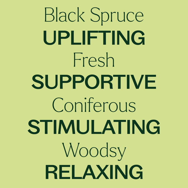 Black Spruce Essential Oil