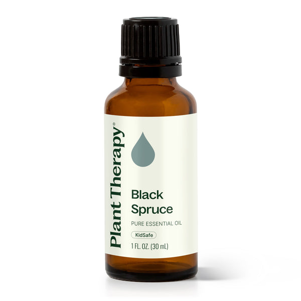 Black Spruce Essential Oil