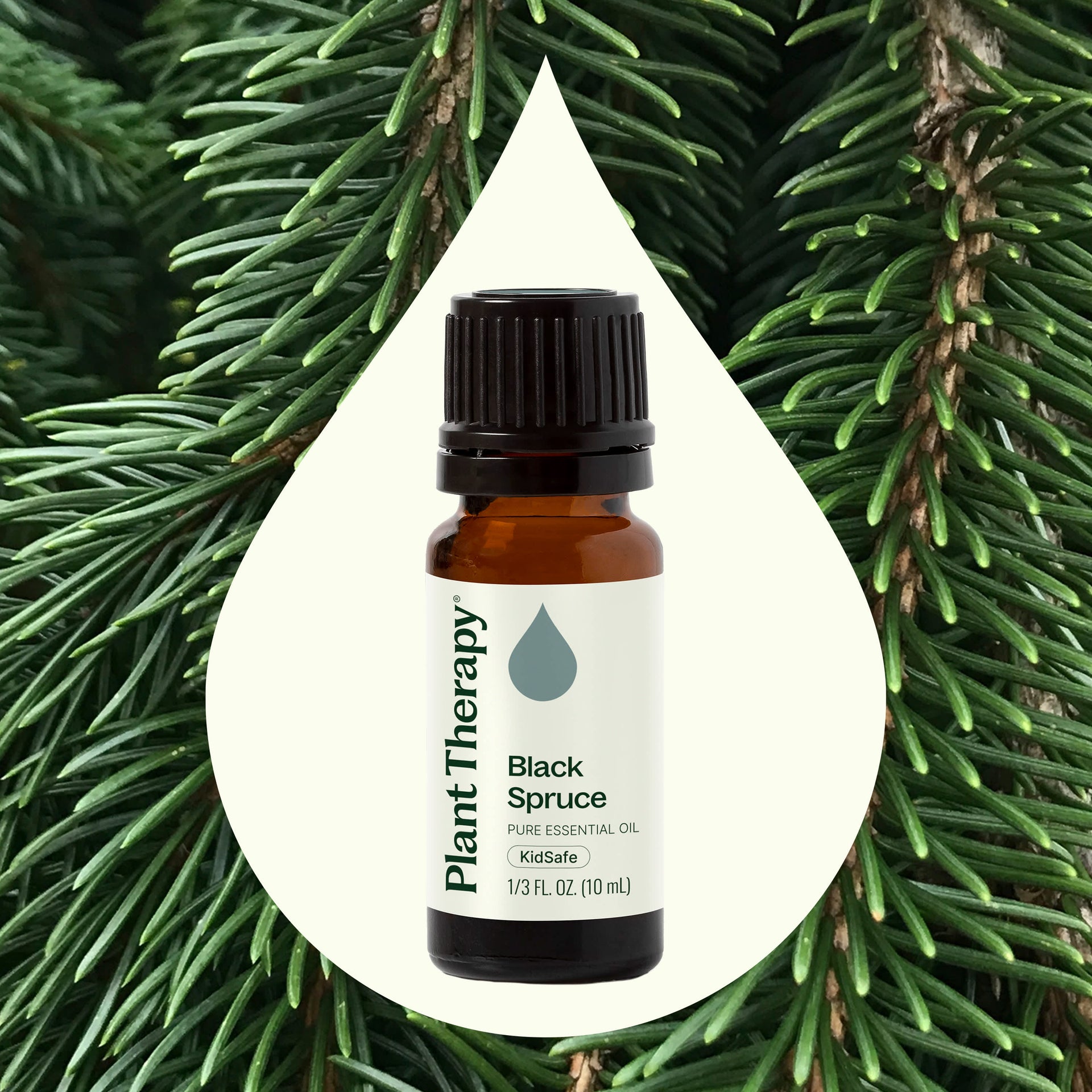 Black Spruce Essential Oil
