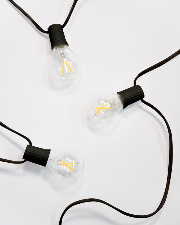 Ambience Globe LED Plug In String Lights