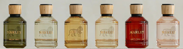 Set of six Marley Eaux de Parfum bottles in different colors on a light gray background