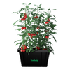 Self Watering Garden Box & GrowBox Planter System