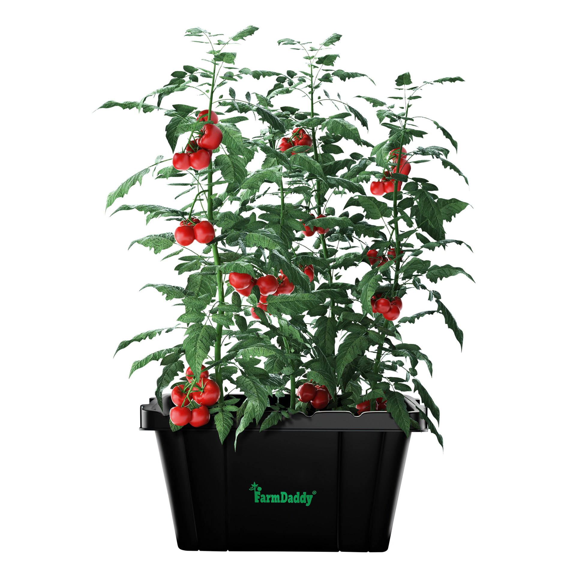 Self Watering Garden Box & GrowBox Planter System