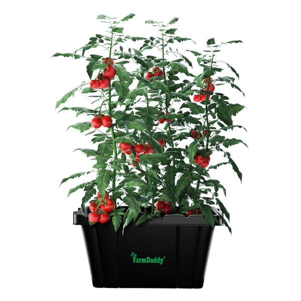Self Watering Garden Box & GrowBox Planter System