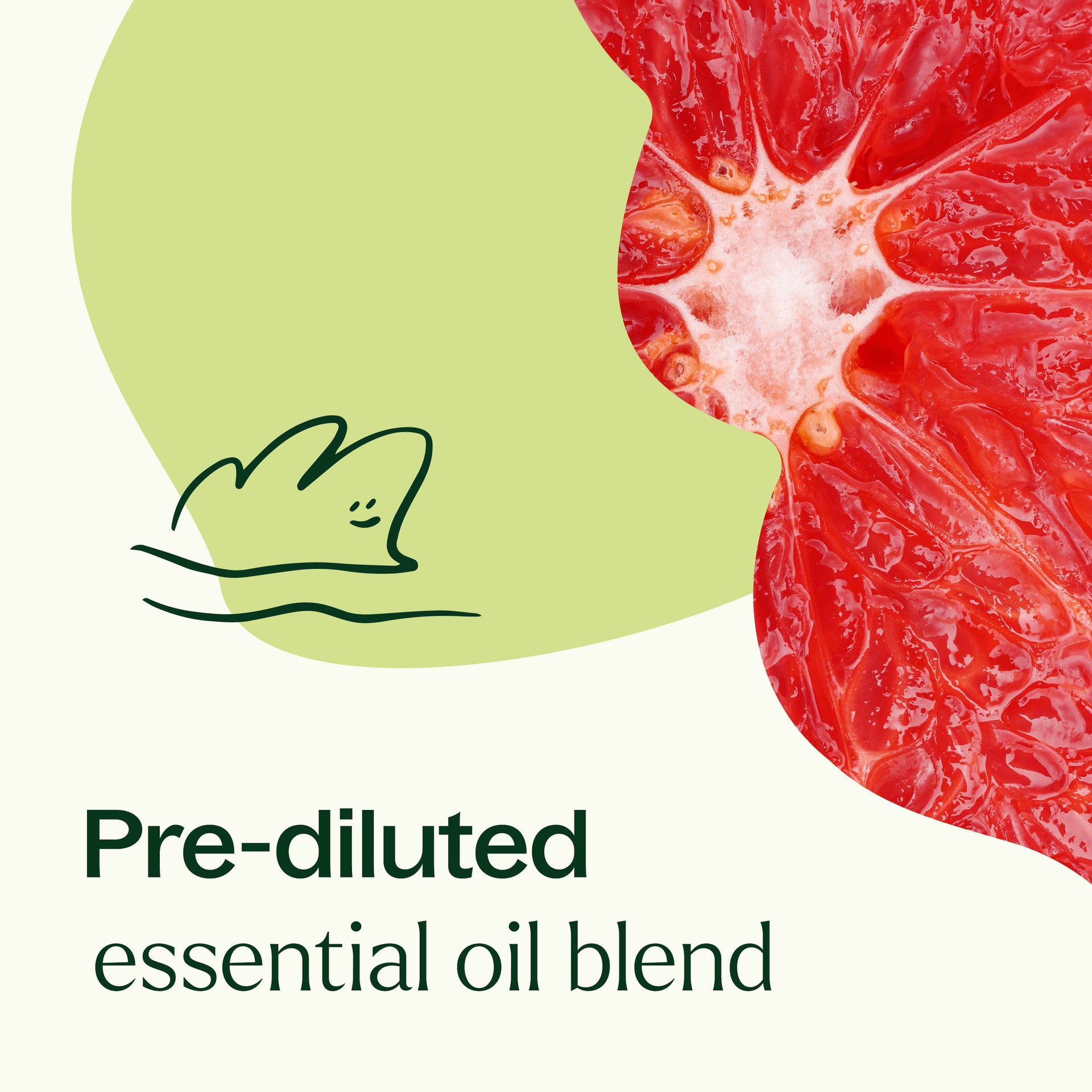 Brain Aid Essential Oil Blend Pre-Diluted Roll-On