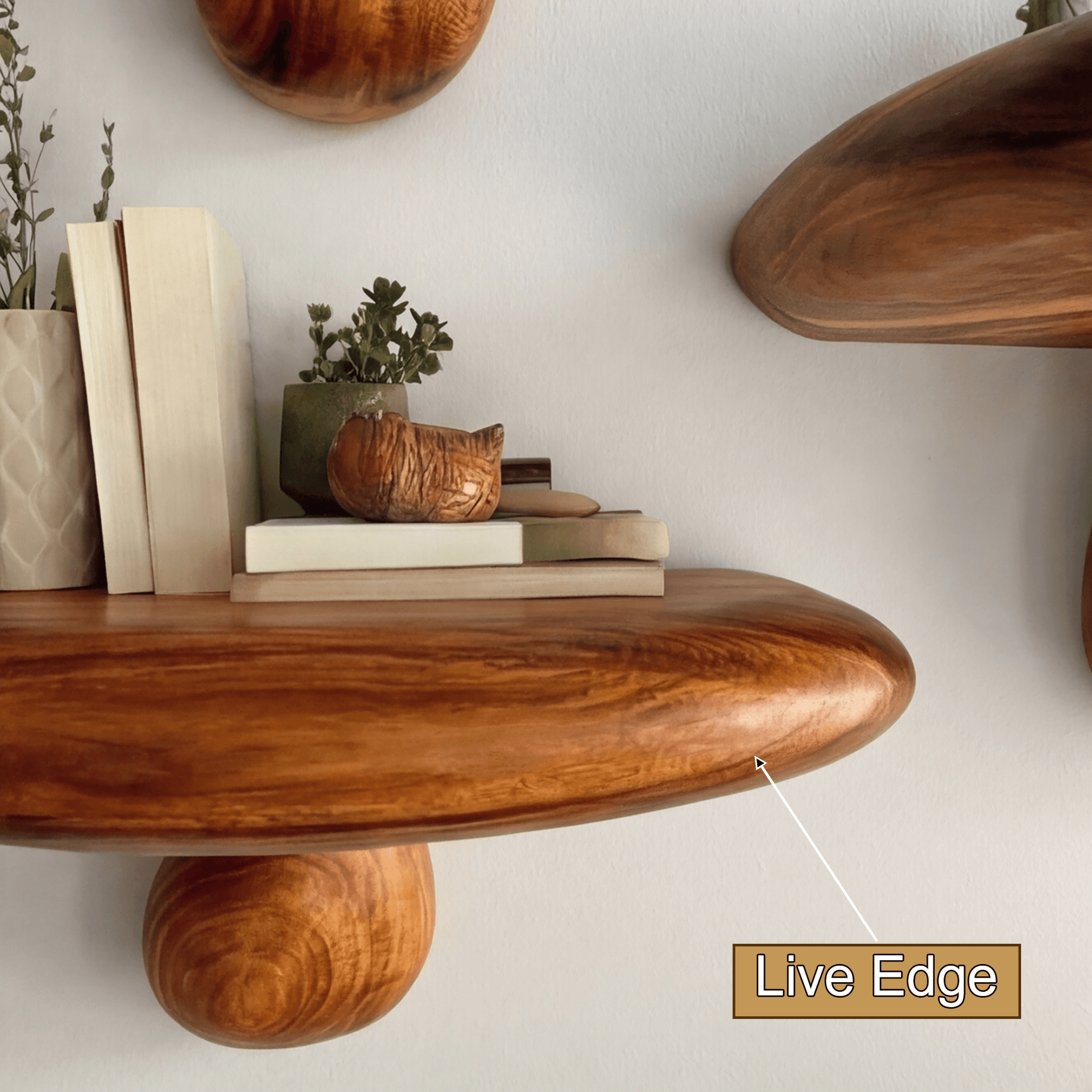 Bravon Mushroom Solid Wood Floating Shelf SPA475187