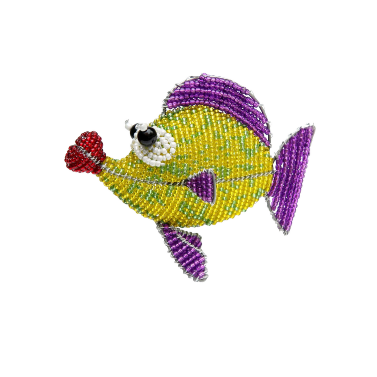 Button Fish