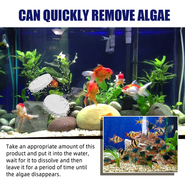 Algae Removal, Aquarium Cleaning Agent Algae Removal Moss Fish Tank Moss Removal Agent Algae Removal From Green Water