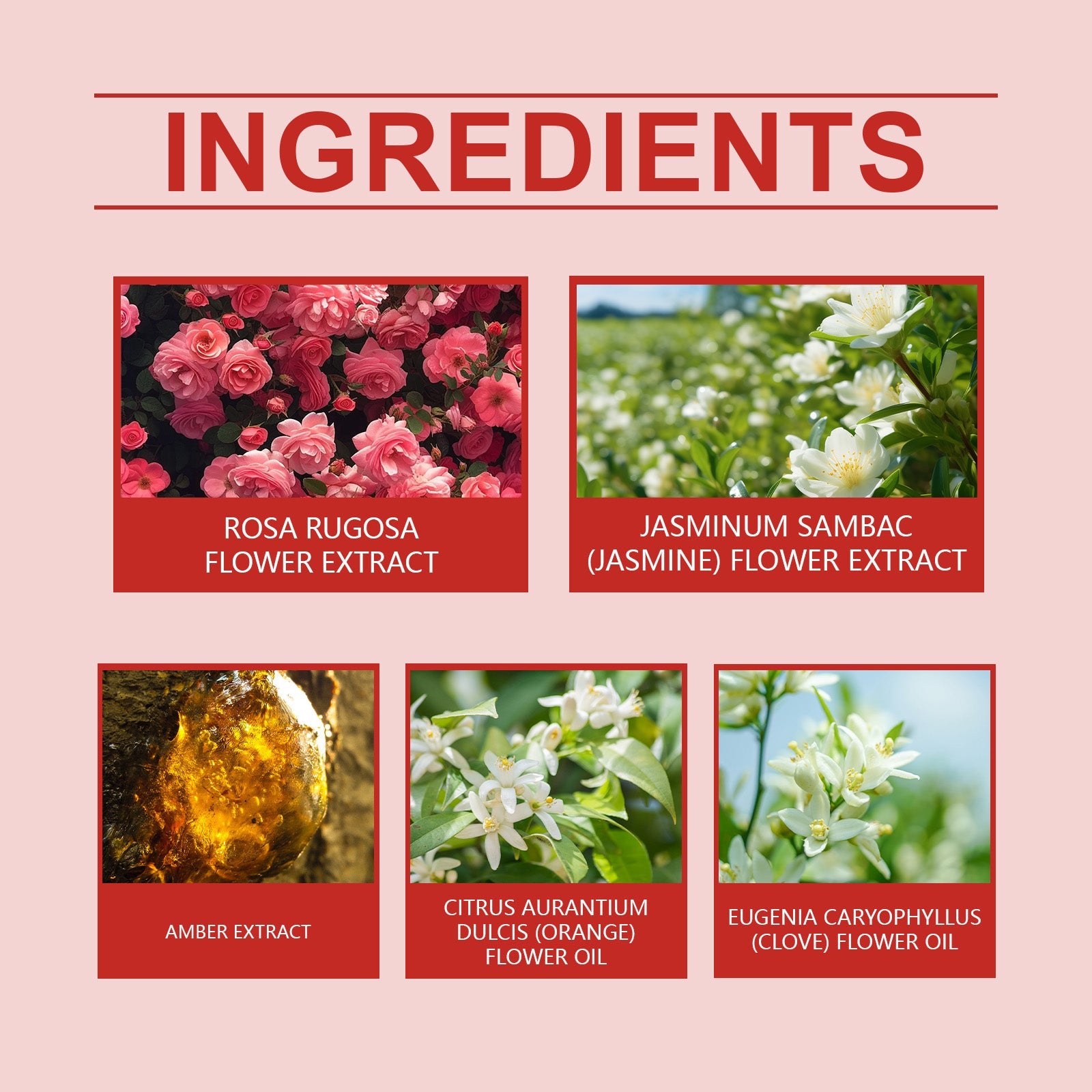 Charm Perfume Spray Natural Fresh Lasting Charm Temperament Amber Fragrance Light Elegant Body Perfume