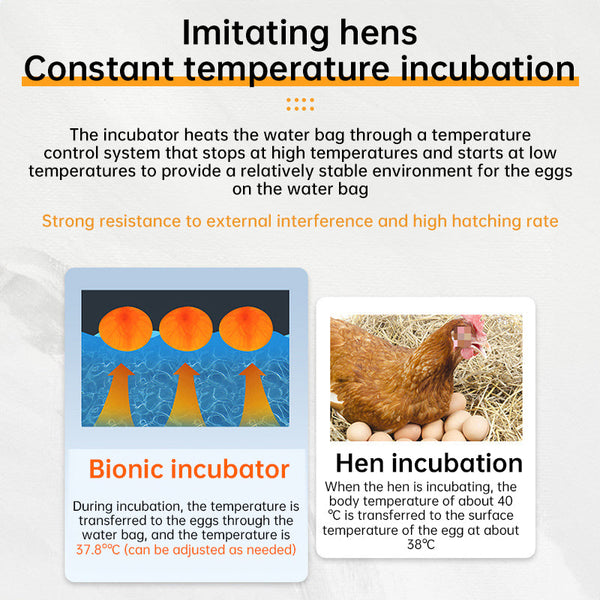 24 - hr Thermostatic Small Poultry Incubator. Biomimetic Waterbed. Auto & Smart. For Chick, Duck & Goose Eggs