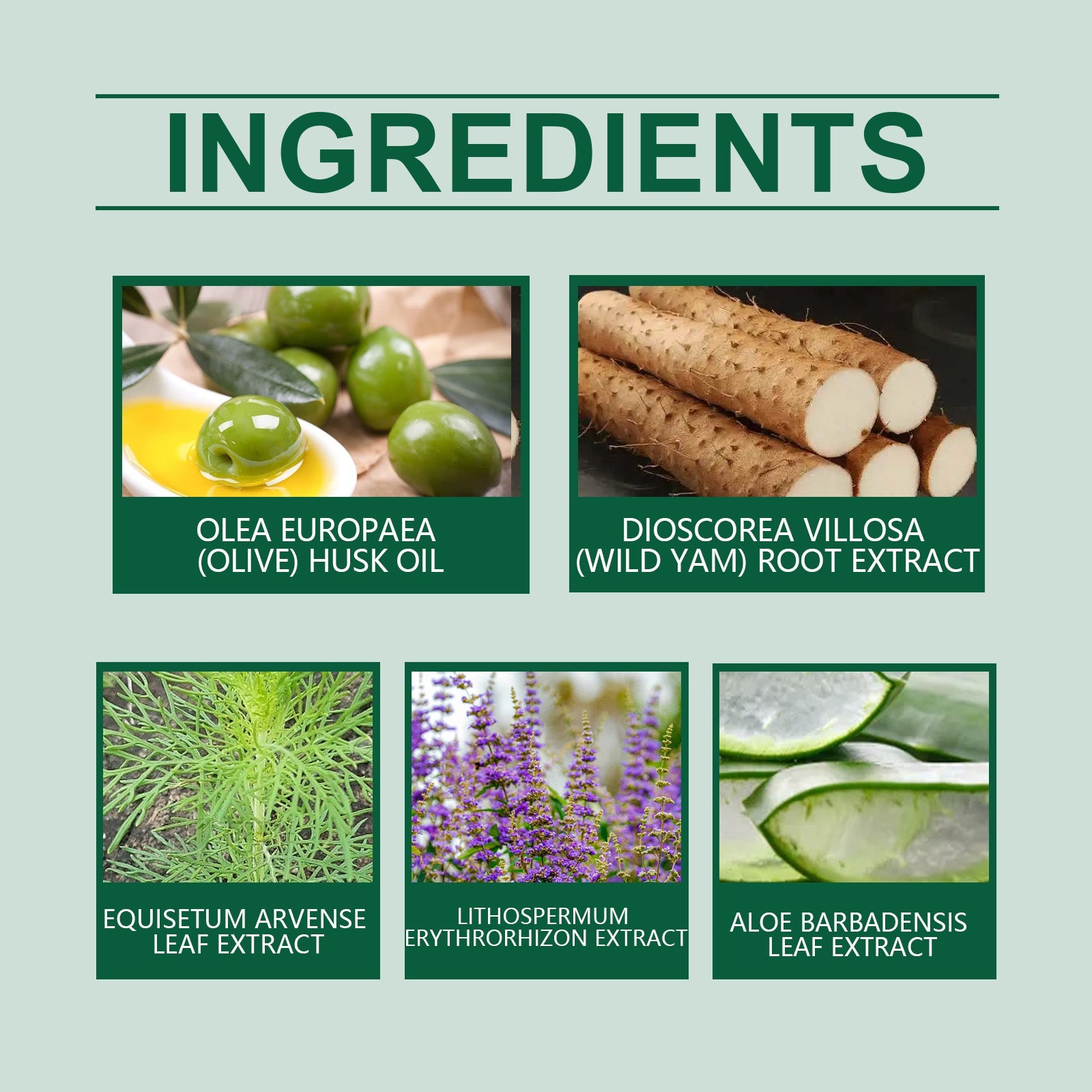 Body Balance Cream Soothes Discomfort Gently Nourishes And Moisturizes Skin Body Care Cream