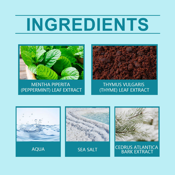 Mint Sea Salt Perfume Mild Fresh Elegant Tone Ear And Wrist Lasting Fragrance Elegant Date Fragrance Perfume