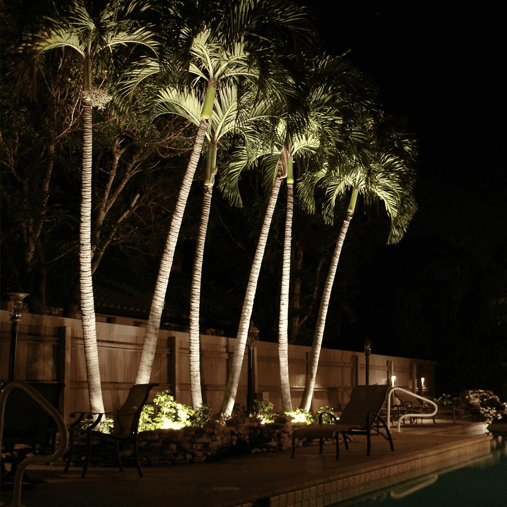 CD30 30W 12V Low Voltage LED Outdoor Aluminum Spotlight Directional Narrow Beam Angle