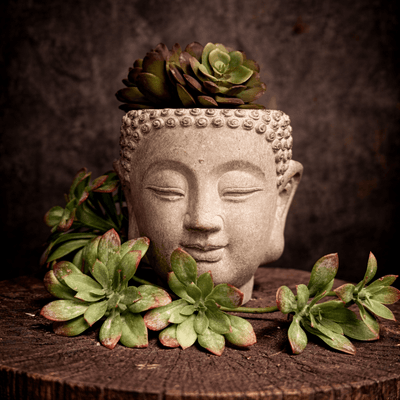 CEMENT WALL MOUNT HANGING BUDDHA PLANTER