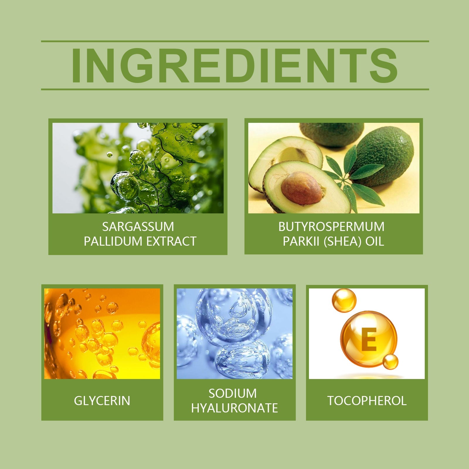 Seaweed Nourishing Night Cream, Nourishing And Moisturizing Facial Night Care Skin Moisturizing And Moisturizing Seaweed Night Cream