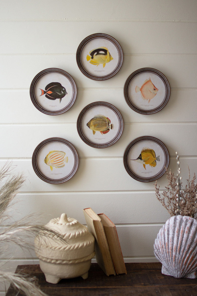 Set of 6 Round Framed Tropical Fish Prints Under Glass