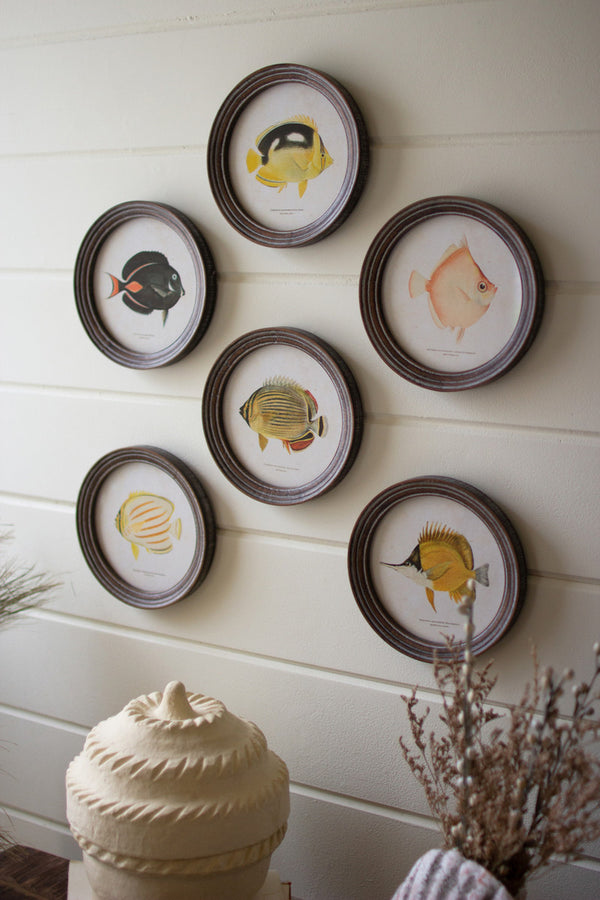 Set of 6 Round Framed Tropical Fish Prints Under Glass