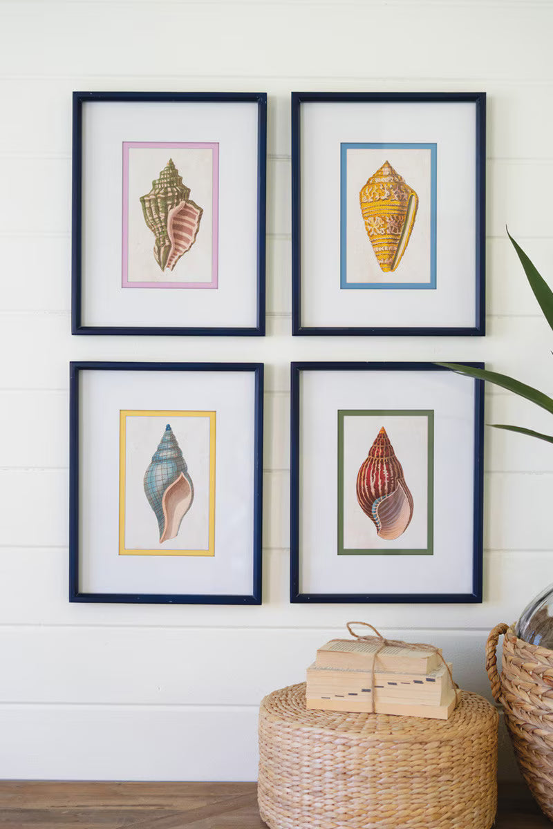 SET OF FOUR FRAMED SHELL PRINTS UNDER GLASS