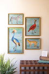 SET OF FOUR FRAMED BIRDS AND ANIMAL  PRINTS UNDER GLASS